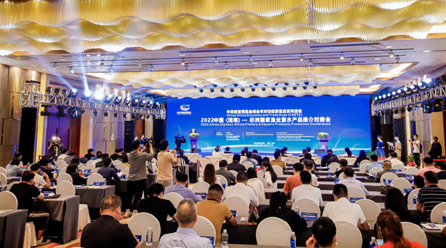 對(duì)接會(huì)現(xiàn)場。湖南省商務(wù)廳供圖