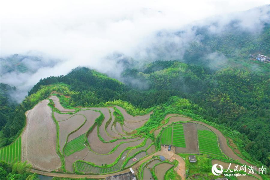 云中梯田美如畫(huà)。人民網(wǎng) 李芳森攝