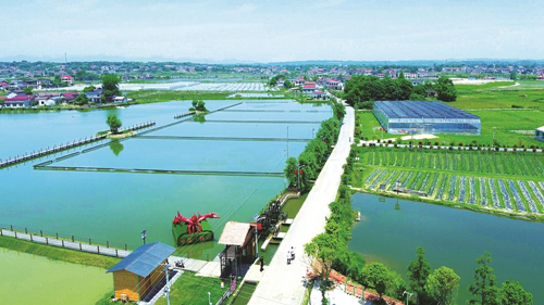 近年來(lái)，大成橋鎮(zhèn)堅(jiān)持加強(qiáng)黨對(duì)鄉(xiāng)村治理的集中統(tǒng)一領(lǐng)導(dǎo)，該鎮(zhèn)鄉(xiāng)村治理模式入選第二批全國(guó)鄉(xiāng)村治理典型案例。圖為美麗的大成橋鎮(zhèn)。（資料圖片）