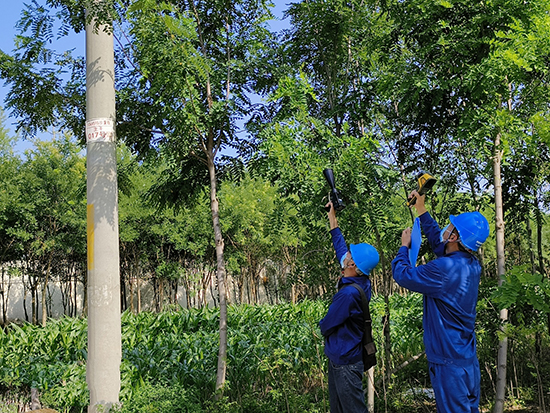 工作人員進(jìn)行紅外測溫及超聲波局部放電檢測。 王亮攝