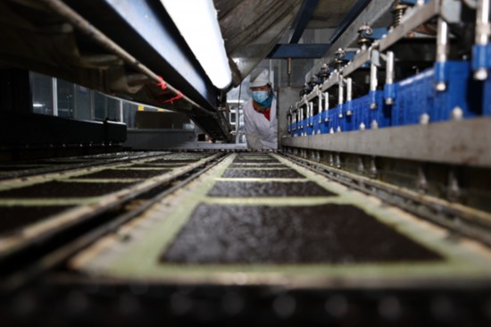 柘汪紫菜產(chǎn)業(yè)園內(nèi)入駐企業(yè)的紫菜生產(chǎn)線。贛榆區(qū)委宣傳部供圖