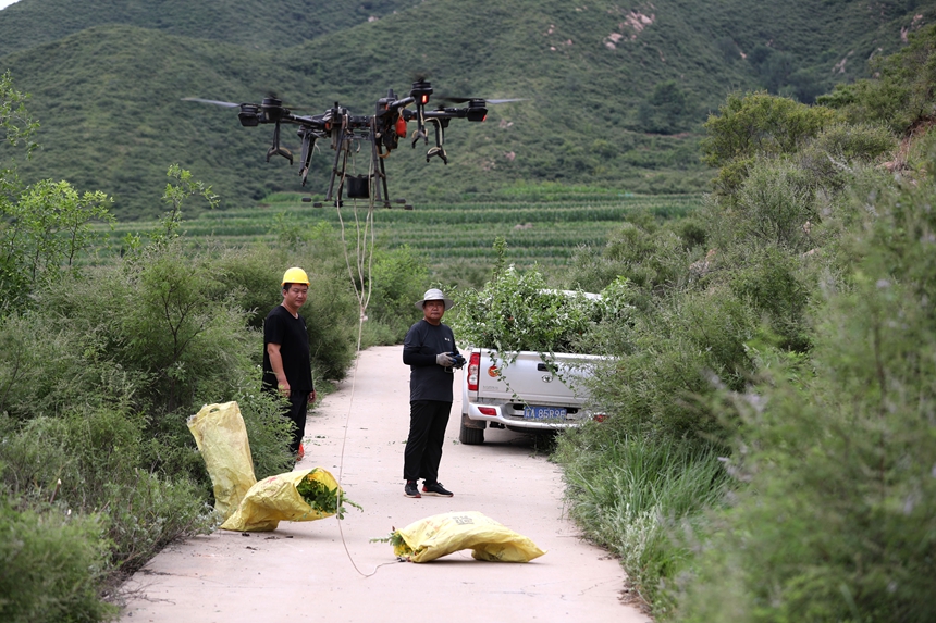 在石家莊市井陘縣吳家窯鄉(xiāng)長峪村荒山造林現(xiàn)場，一名無人機手操控無人機運輸樹苗。王保龍攝