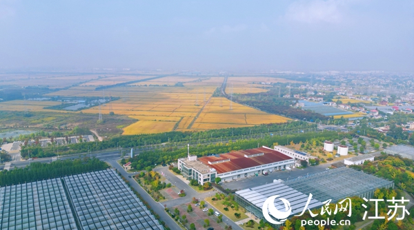 位于幸福街道的“萬頃良田”。人民網(wǎng)記者 王繼亮攝