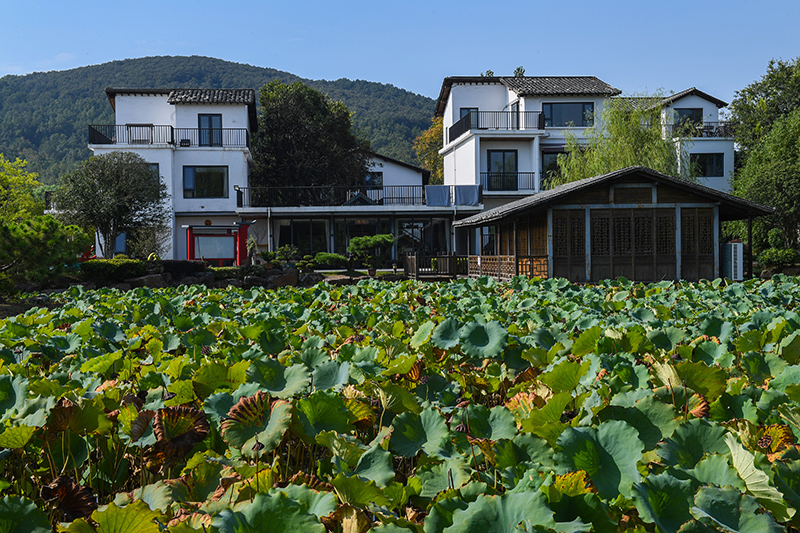 雨悅山房負(fù)責(zé)人原來在馬達(dá)加斯加打理酒店，之所以“從馬達(dá)加斯加到肥東”，源于對家鄉(xiāng)民宿前景看好。吳芳攝