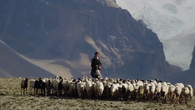 你看了嗎？藏語版《日光之城》“含金量”還在上升！