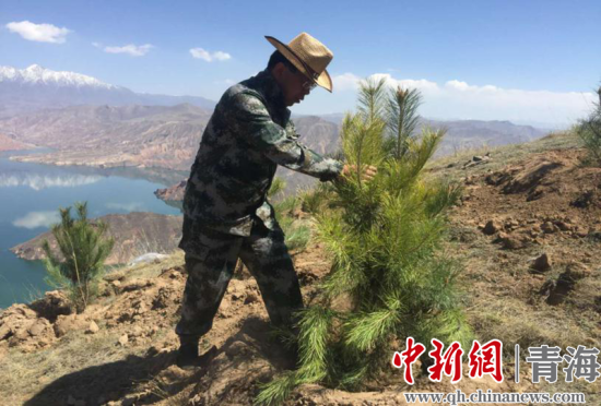 圖為尖扎干部職工生態(tài)建設(shè)和環(huán)境保護(hù)現(xiàn)場(chǎng)。尖宣 供圖