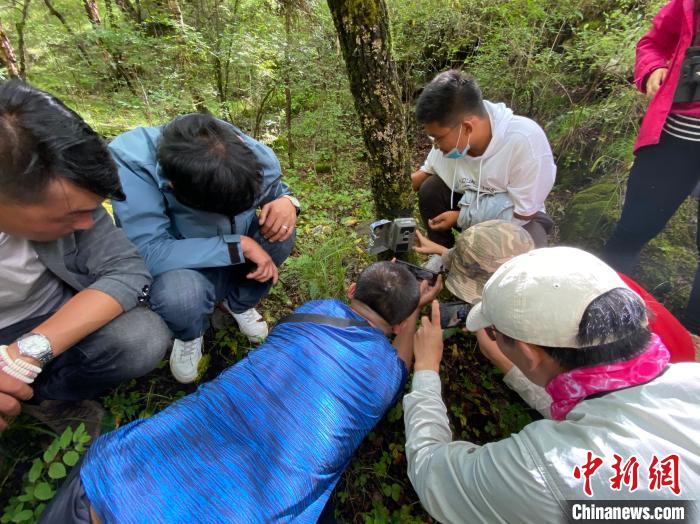 圖為訪客正在查看紅外相機(jī)中的拍攝畫(huà)面?！±罱瓕?攝