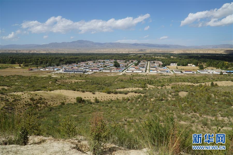 （決戰(zhàn)決勝脫貧攻堅·圖文互動）（2）高原鄉(xiāng)鎮(zhèn)沙珠玉 治沙斗貧成“綠?！薄嗪Ｊ」埠涂h沙珠玉鄉(xiāng)采訪見聞