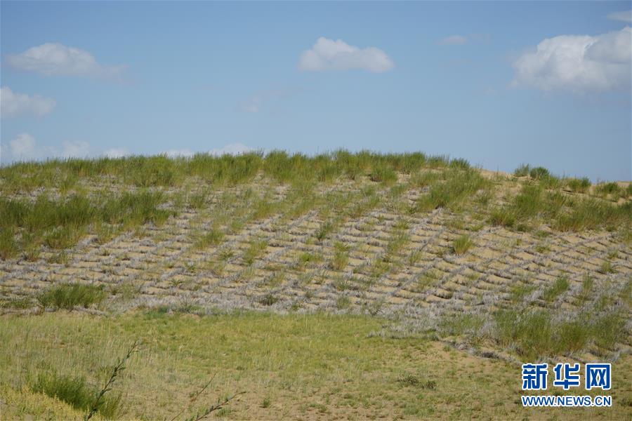 （決戰(zhàn)決勝脫貧攻堅·圖文互動）（3）高原鄉(xiāng)鎮(zhèn)沙珠玉 治沙斗貧成“綠?！薄嗪Ｊ」埠涂h沙珠玉鄉(xiāng)采訪見聞
