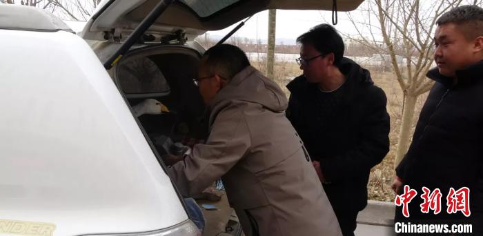 圖為民警救助國家二級保護(hù)動物——大天鵝。青海省公安廳森林警察總隊(duì)供圖