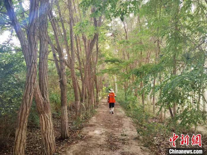 戈壁灘上的護林員：以前風吹睜不開眼，現(xiàn)在滿眼皆綠色