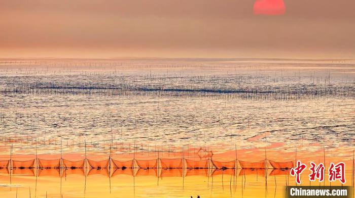 江蘇鹽城被譽(yù)為金灘銀蕩、魚米之鄉(xiāng)?！←}城市委宣傳部供圖