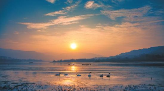 黃河冬之晨。