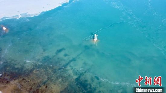 圖為冬日青海湖。　李江寧　攝