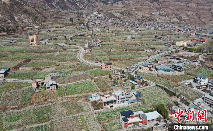 潔白的李花與村寨交相輝映，勾勒出一幅美麗的和諧生態(tài)畫卷。　何清海 攝