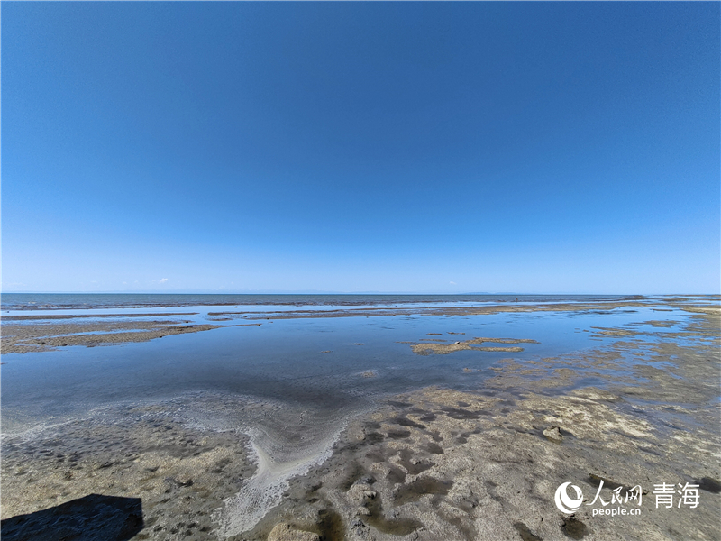   青海湖仙女灣。人民網(wǎng) 張莉萍攝