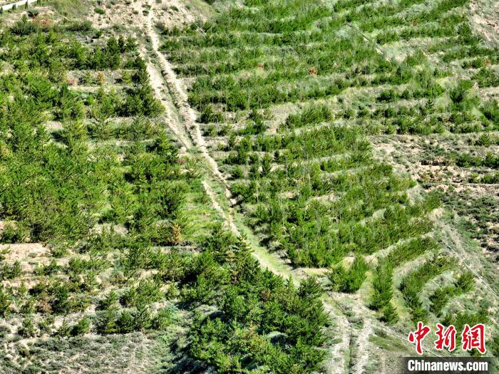 航拍建行青海省分行綠化區(qū)?!∑钤鲚?攝