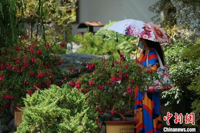 圖為市民在西寧園林植物園內(nèi)賞花拍照?！●R銘言 攝