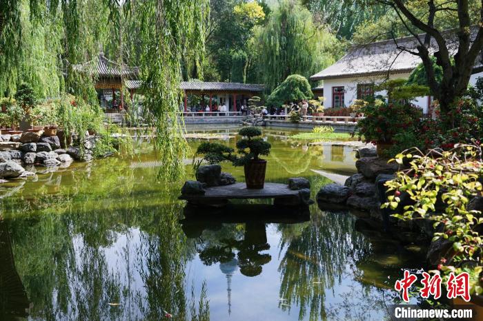 圖為西寧園林植物園秋日風(fēng)景別有韻味?！●R銘言 攝