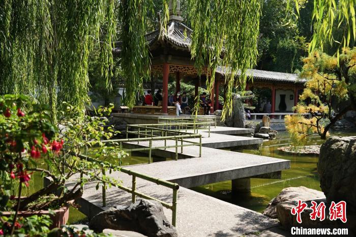 圖為西寧園林植物園秋日風(fēng)景別有韻味?！●R銘言 攝