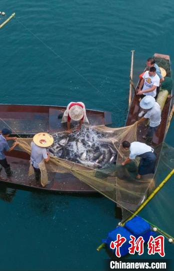 捕魚現場?！≈鬓k方供圖