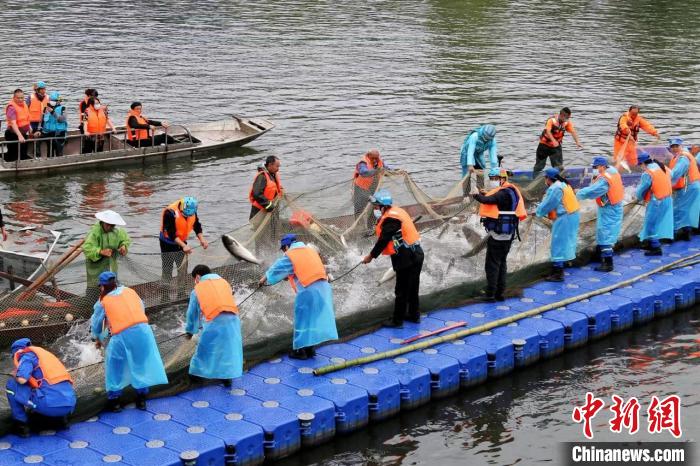 捕撈現場?！≈鬓k方供圖