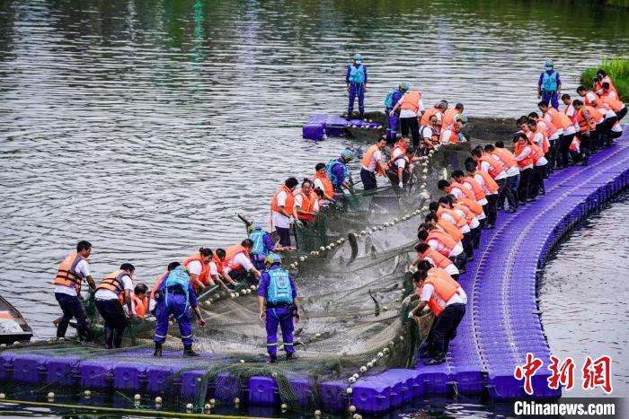 捕撈現場?！≈鬓k方供圖