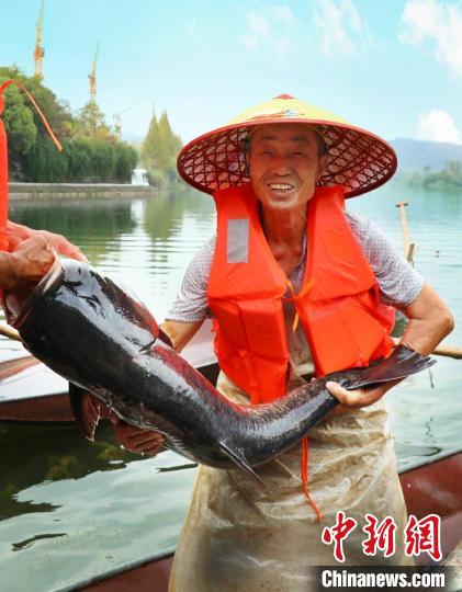 工作人員展示捕撈成果?！≈鬓k方供圖