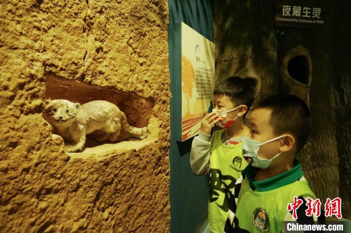 圖為小朋友在青海西寧湟水國(guó)家濕地公園科普館內(nèi)參觀學(xué)習(xí)?！●R銘言 攝