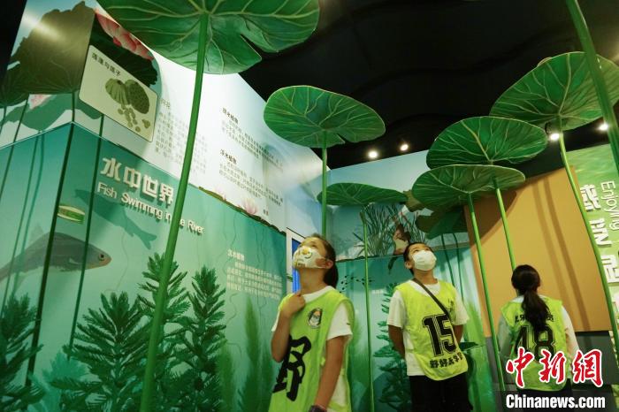 圖為小朋友在青海西寧湟水國(guó)家濕地公園科普館內(nèi)參觀學(xué)習(xí)?！●R銘言 攝