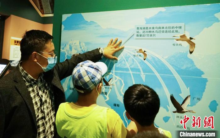 圖為小朋友在青海西寧湟水國(guó)家濕地公園科普館內(nèi)參觀學(xué)習(xí)。　馬銘言 攝