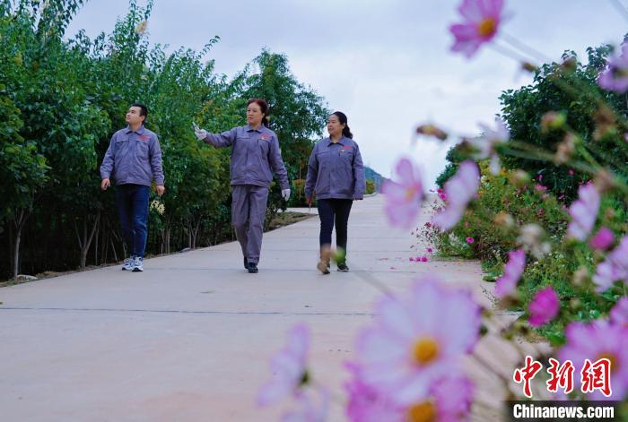 圖為張錦梅(中)與同事在西寧北山查看丁香樹?！●R銘言 攝