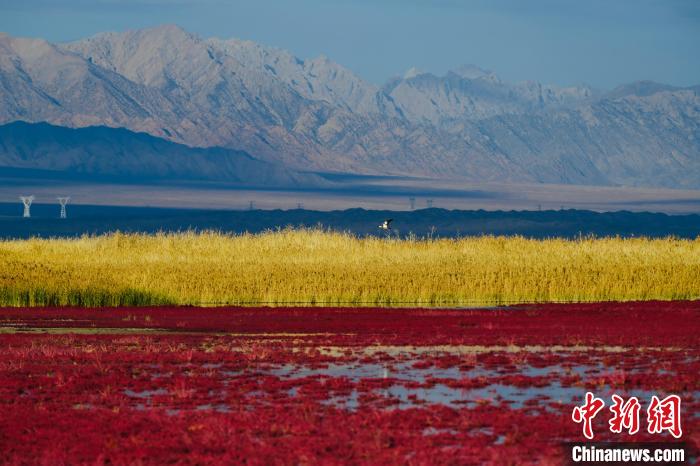 圖為柴達(dá)木盆地可魯克湖?！」?攝