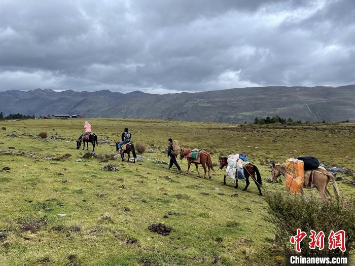圖為9月26日游客騎馬領(lǐng)略尼汝村高原牧場風(fēng)光。 <a target='_blank' href='/'><p  align=