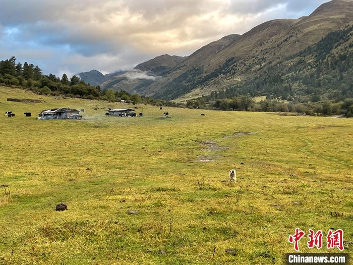 圖為9月27日新沾牧場的早晨景色。 <a target='_blank' href='/'><p  align=