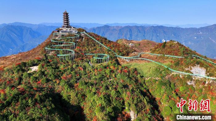 巴山大峽谷彩林迎來最佳觀賞期?！∫κ?攝