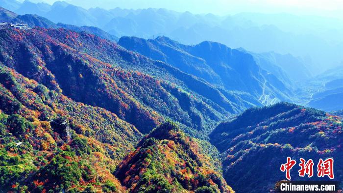 巴山大峽谷彩林迎來最佳觀賞期。　張平 攝