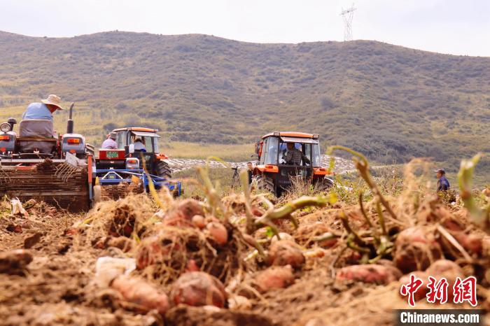 青海東部農業(yè)區(qū)：“一分川、一分水、八分山”里“刨金記”