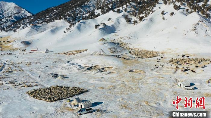 圖為無人機航拍牧場。　都蘭縣融媒體中心供圖
