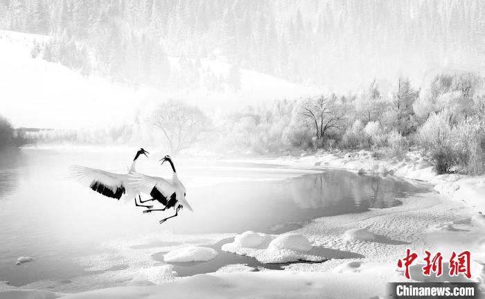 圖為焦生福的作品《鶴嬉雪林》?！∏嗪Ｊ∑钸B山自然保護協(xié)會供圖