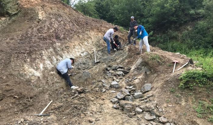 2018年玉海翼角魚野外發(fā)掘采集現場?！∩w志琨 攝