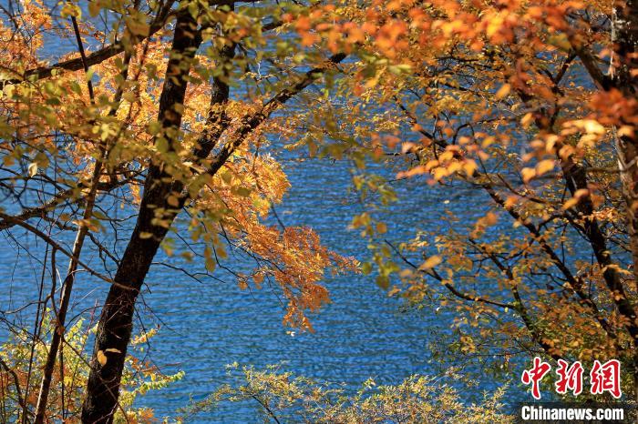 松坪溝風(fēng)光。　劉通 攝