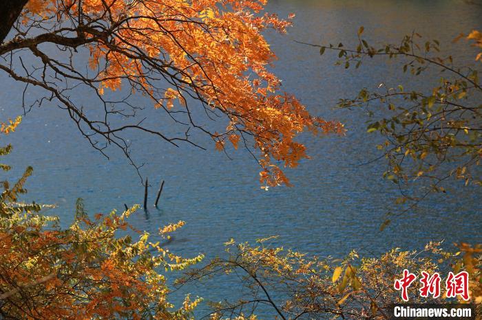 松坪溝風光?！⑼?攝