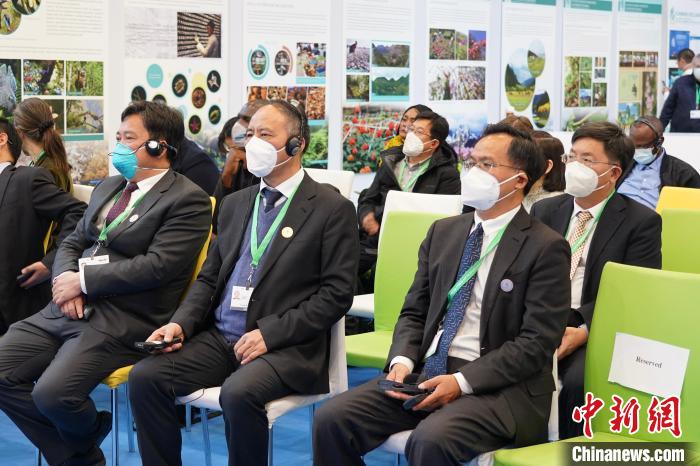 圖為極小種群物種和生物多樣性保護(hù)邊會現(xiàn)場?！≡颇鲜×謽I(yè)和草原局供圖