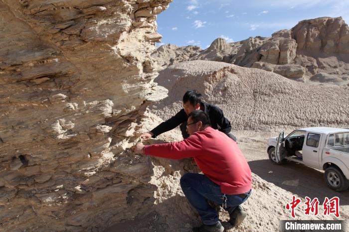 圖為地質(zhì)專家觀察鹽類沉積地層。(資料圖) 柴綜院 供圖