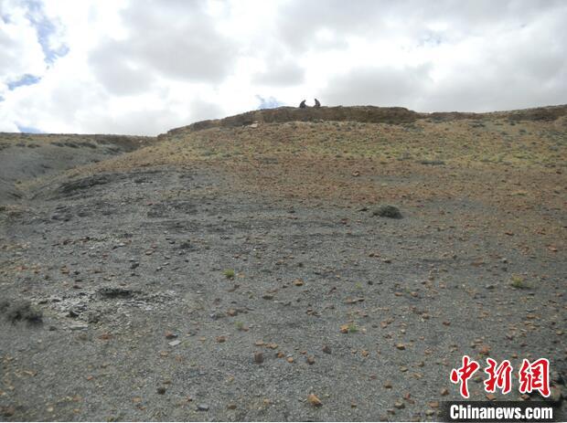 圖為本次研究的藏南曲布剖面二疊紀(jì)末期黑色頁巖?！∧瞎潘?供圖