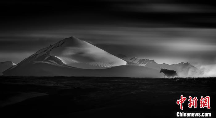 青海攝影師斬獲第二屆錦繡中華(金鼎獎(jiǎng))全國(guó)風(fēng)光攝影大賽金獎(jiǎng)