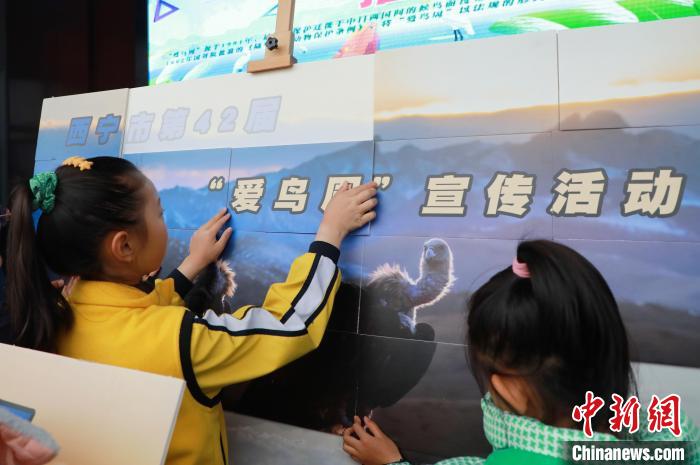 圖為學生通過拼圖游戲了解鳥類知識?！●R銘言 攝