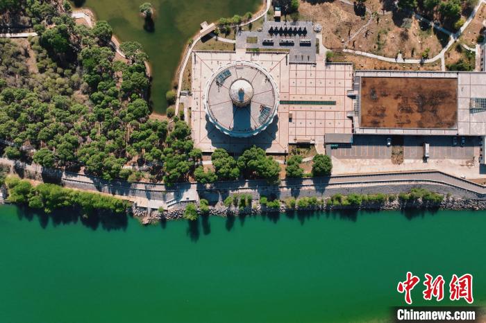 航拍青海貴德黃河岸畔綠意濃濃?！≮w凜松 攝