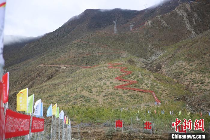 圖為拉薩南北山綠化工程拉薩曲水縣才納村5號片區(qū)?！∝暣_ 攝